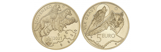 Issue day - €5 base metal collector coin Fauna and flora in Slovakia - The Grey Wolf