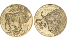 Minca 5€ (2024) - Zubor hrivnatý