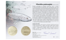 Autorská karta 5€ (2025) - Hlavátka podunajská 