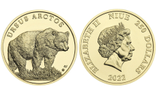 Minca zlatá 250 Dollars - Medveď hnedý - Fauna a flóra na Slovensku