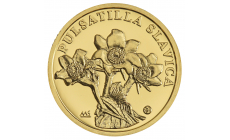 Minca zlatá 10 Dollars - Poniklec slovenský - Fauna a flóra na Slovensku
