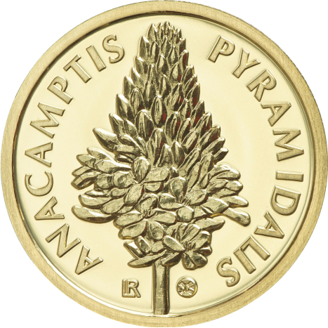Minca zlatá 10 Dollars - Fauna a flóra - motív flóra - Červenohlav ihlanovitý