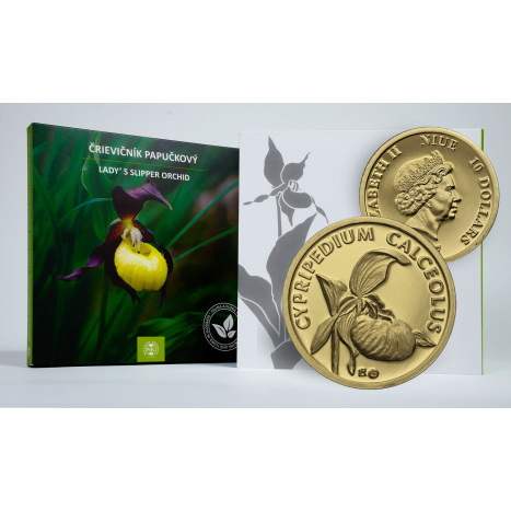 Fauna and flora in Slovakia-Cypripedium calceolus