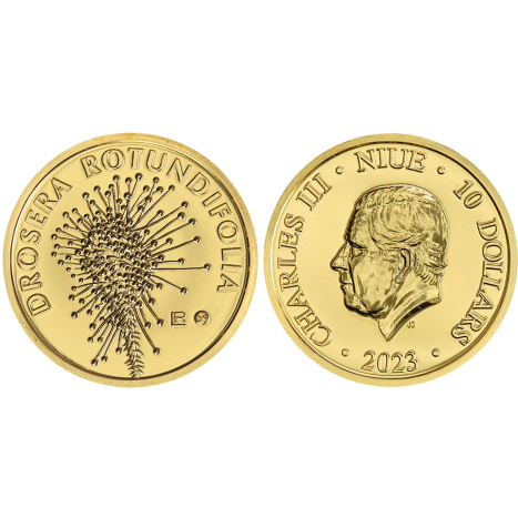 Minca zlatá 10 Dollars - Rosička okrúhlolistá (mäsožravá) - Fauna a flóra na Slovensku