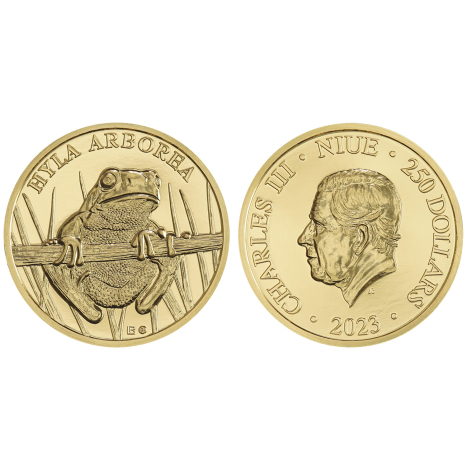Minca zlatá 250 Dollars - Rosnička zelená - Fauna a flóra na Slovensku