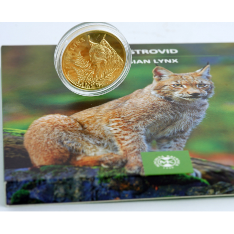 Minca zlatá 250 Dollars - Rys ostrovid - Fauna a flóra na Slovensku