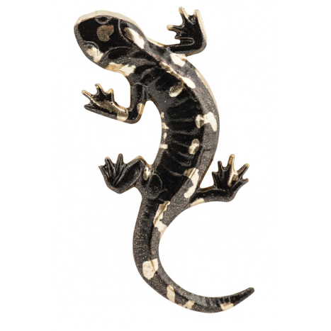 Odznak Salamandra - farbený