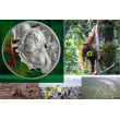 Strieborná minca 1000 Francs CFA - Príbehy Zeme - Orangutan bornejský