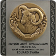 Poľovnícka trofej BP "Muflón"