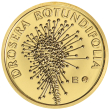 Minca zlatá 10 Dollars - Rosička okrúhlolistá (mäsožravá) - Fauna a flóra na Slovensku